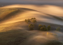 Load image into Gallery viewer, te mata peak fog farmland hawkes bay
