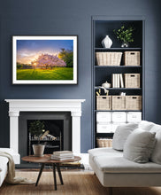 Load image into Gallery viewer, Cherry Blossom Tree Sunset