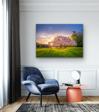 Load image into Gallery viewer, Cherry Blossom Tree Sunset