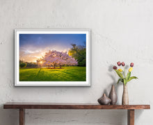 Load image into Gallery viewer, Cherry Blossom Tree Sunset