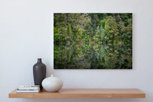 Load image into Gallery viewer, Mirror Tarn Reflections Oparara