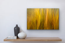 Load image into Gallery viewer, Yellow Orange Grass Abstract