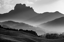 Load image into Gallery viewer, Castle Rock Coromandel Black & White