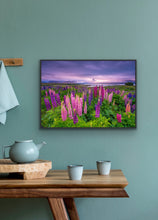 Load image into Gallery viewer, Lupins Moody Dawn Tekapo