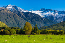 Load image into Gallery viewer, Classic NZ Matukituki Valley