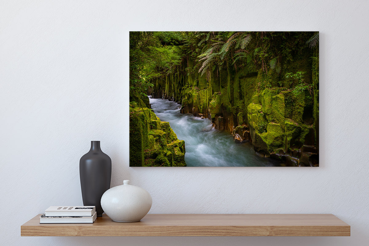 Whirinaki River Canyon Rotoruan NZ Fine Art Prints Canvas Meghan Maloney Photography