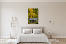 Load image into Gallery viewer, Autumn Arrowtown Golden Leaves