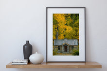 Load image into Gallery viewer, Autumn Arrowtown Golden Leaves