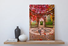 Load image into Gallery viewer, Autumn Colour Hamilton Gardens