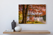 Load image into Gallery viewer, Autumn Tree McLaren Falls