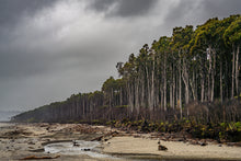 Load image into Gallery viewer, bruce bay west coast beach