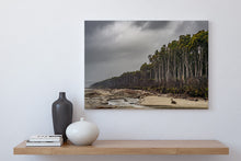 Load image into Gallery viewer, Bruce Bay Beach Mood