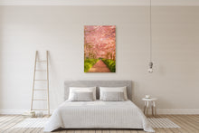 Load image into Gallery viewer, Cherry Blossom Golden Light
