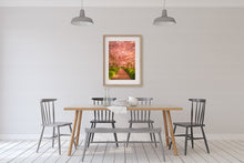 Load image into Gallery viewer, Cherry Blossom Golden Light