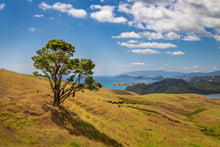 Load image into Gallery viewer, coromandel coast panoramic view