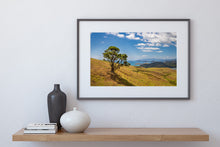 Load image into Gallery viewer, Coromandel Coastline Summer View