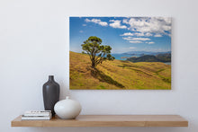 Load image into Gallery viewer, Coromandel Coastline Summer View