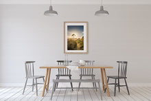 Load image into Gallery viewer, Coromandel Tree Golden Sunlight