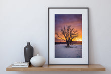 Load image into Gallery viewer, Coromandel Lone Tree Sunset