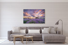 Load image into Gallery viewer, Lavender Field Purple Dawn