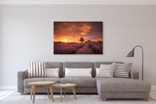 Load image into Gallery viewer, Lavender Field Sunset Glow