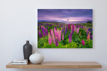 Load image into Gallery viewer, Lupins Moody Dawn Tekapo