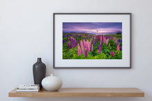 Load image into Gallery viewer, Lupins Moody Dawn Tekapo