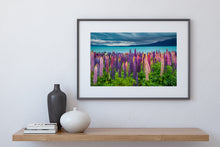 Load image into Gallery viewer, Lupins Moody Skies Pukaki