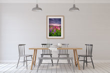 Load image into Gallery viewer, Tekapo Lupins Quiet Sunrise