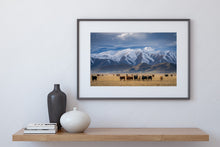 Load image into Gallery viewer, Mackenzie Country Cattle & Mountains