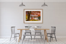 Load image into Gallery viewer, Autumn Tree McLaren Falls