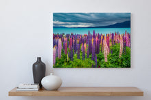 Load image into Gallery viewer, Lupins Moody Skies Pukaki