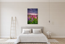 Load image into Gallery viewer, Tekapo Lupins Quiet Sunrise