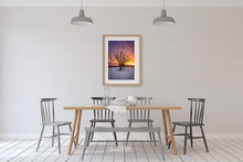 Load image into Gallery viewer, Coromandel Lone Tree Sunset