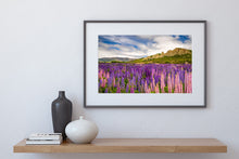 Load image into Gallery viewer, Lupin Fields Omarama Clay Cliffs
