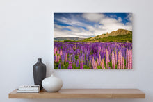 Load image into Gallery viewer, Lupin Fields Omarama Clay Cliffs