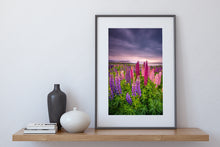 Load image into Gallery viewer, Tekapo Lupins Quiet Sunrise