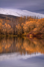 Load image into Gallery viewer, Twizel Wairepo Winter Glow