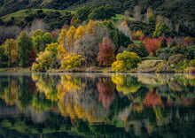 Load image into Gallery viewer, autumn colour lake tutira