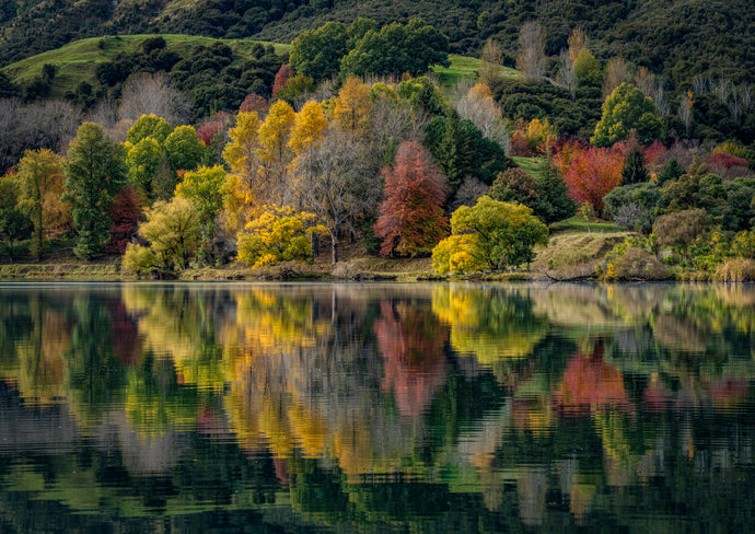 autumn colour lake tutira