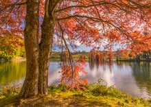 Load image into Gallery viewer, NZ 2027 Scenic Landscape Calendar