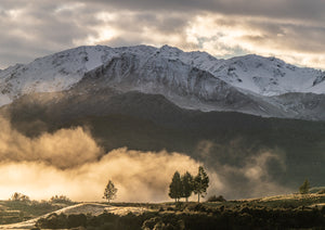 fiordland mountains mist trees