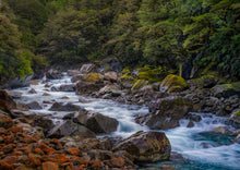 Load image into Gallery viewer, hollyford river colours fiordland