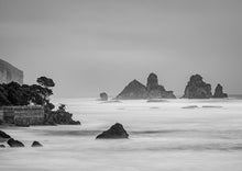 Load image into Gallery viewer, motukiekie beach black white west coast