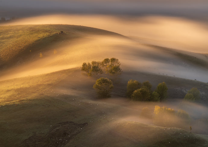 te mata peak fog farmland hawkes bay