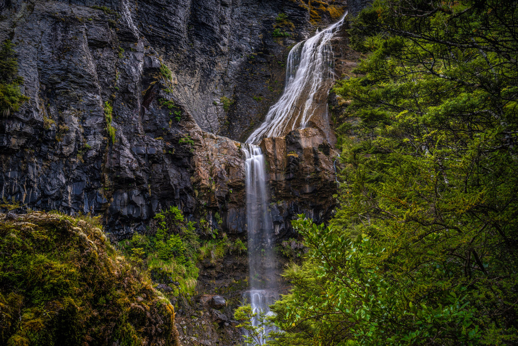 waitonga falls forest ruapehu