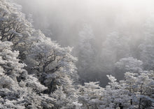 Load image into Gallery viewer, New Zealand 2025 Landscape Calendar