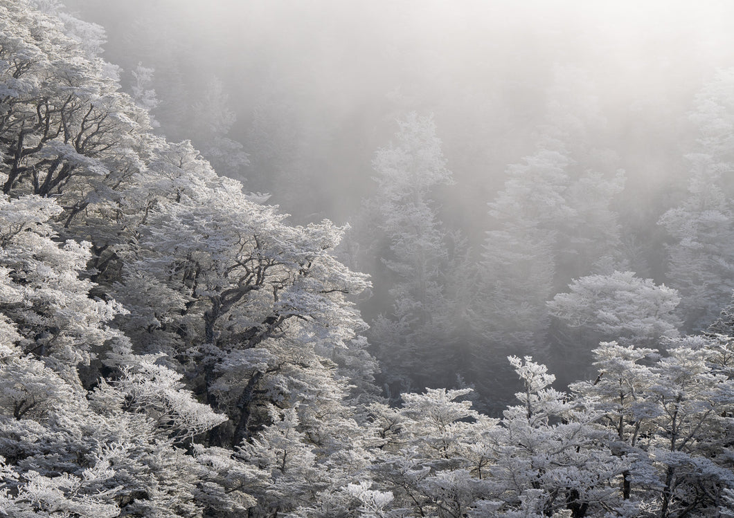 arthurs pass winter hoar frost