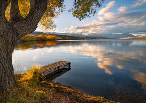 alexandrina autumn tree reflecions tekapo