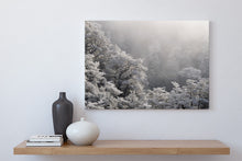 Load image into Gallery viewer, arthurs pass winter hoar frost